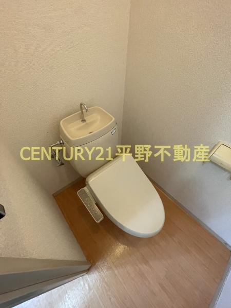 ラベンダー堤