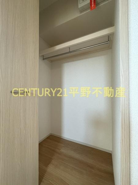 春