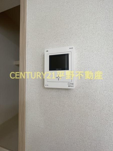 春