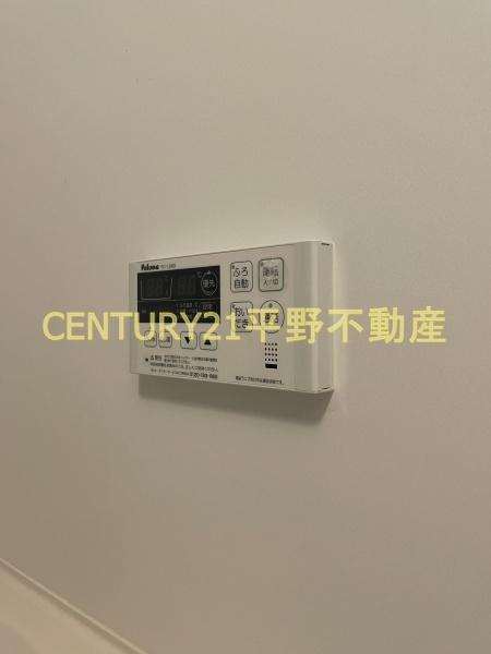 春