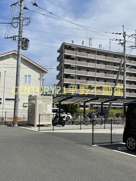 ルピナ梅満