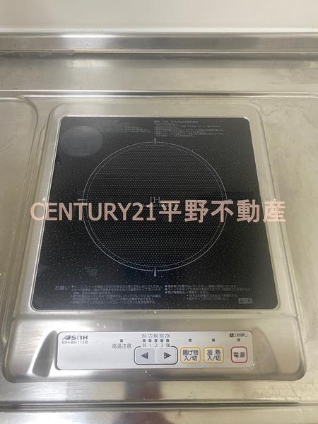 アーサーⅡ(その他)