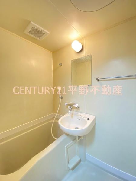 アーサーⅡ(バス)