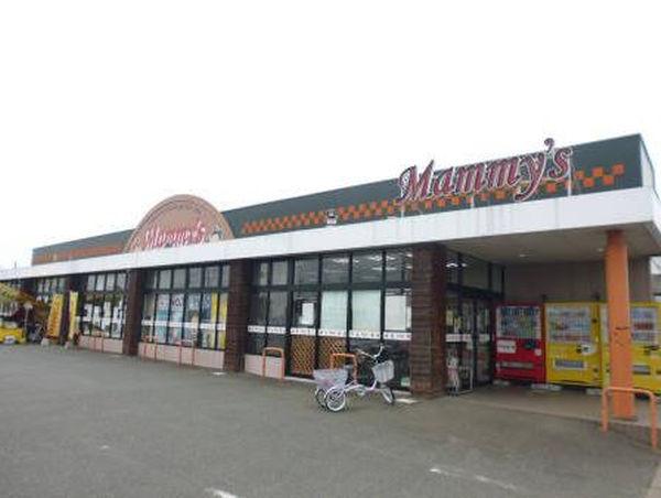 クレストール北野弐番館(マミーズ善導寺店)