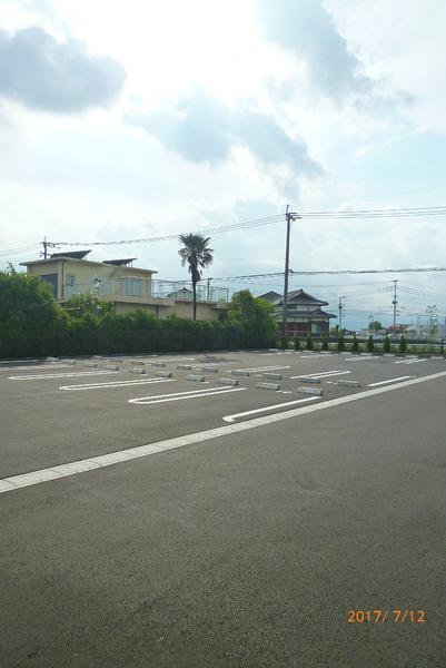 グレイスサクラ