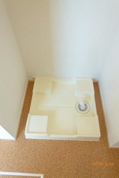 Bruno5