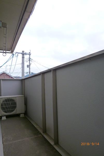 グリーンカトレア2