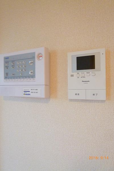 グリーンカトレア2