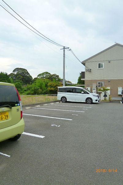グリーンカトレア2