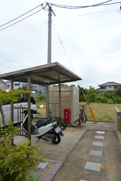 グリーンカトレア2