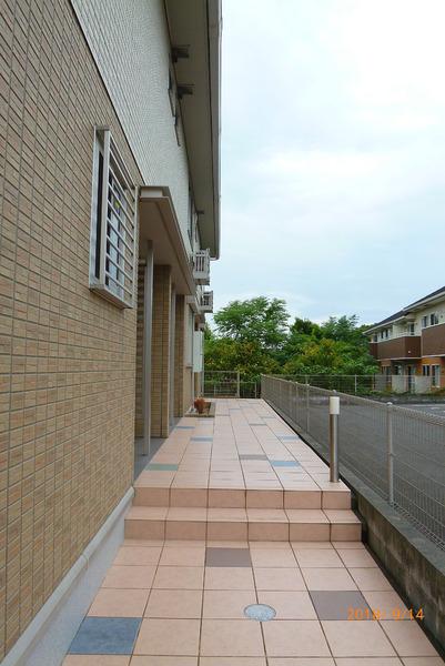 グリーンカトレア2