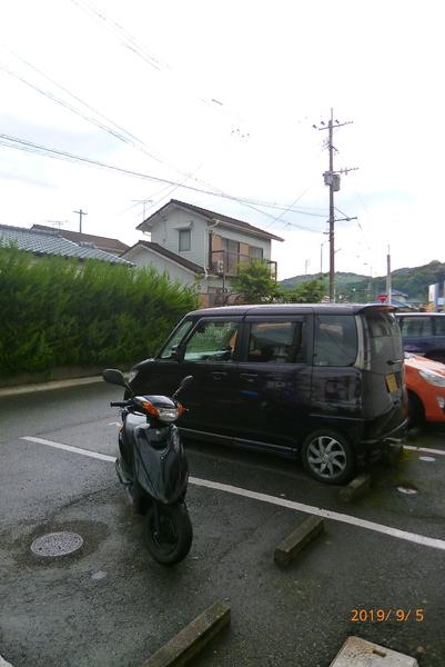 ルナリアス