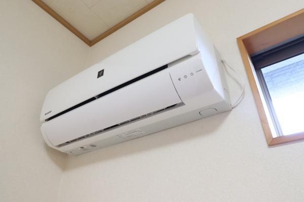 セゾン花水木