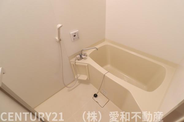 Ｓ－ｓｔａｇｅ　ＩＧＩＳＵ