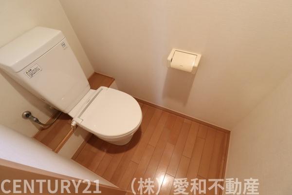 Ｓ－ｓｔａｇｅ　ＩＧＩＳＵ