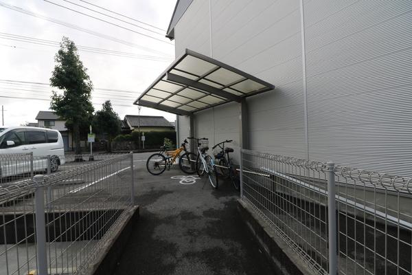 ＣＡＮＤＥＯ川津