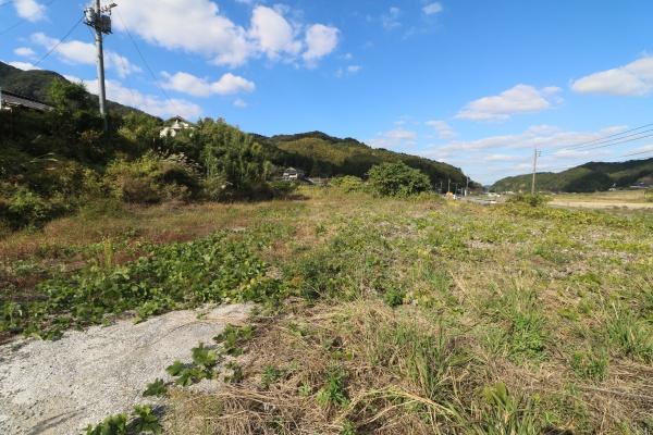 内野貸地