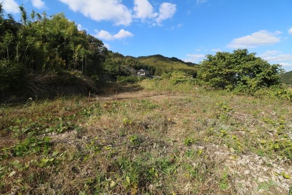 内野貸地