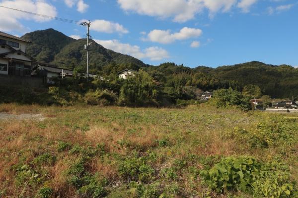 内野貸地