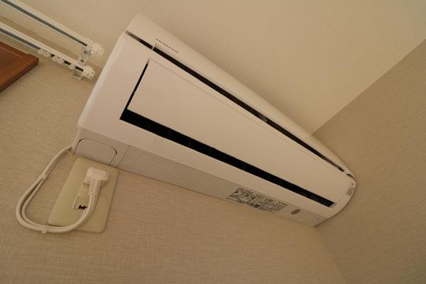 ショコラティ枝国