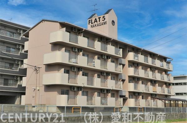 FLAT5 仲上