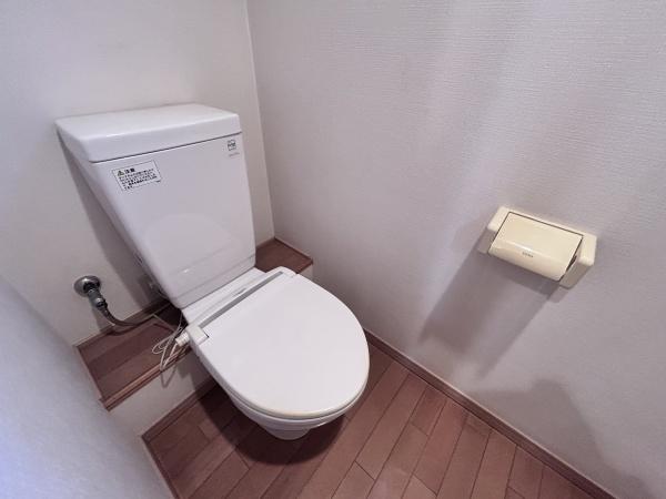 Ｓ－ｓｔａｇｅ　ＩＧＩＳＵ