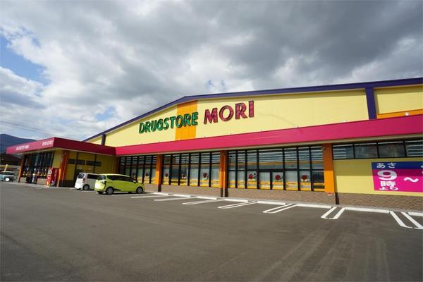 グリーンアベニューⅢ(ドラッグストアモリ穂波店)