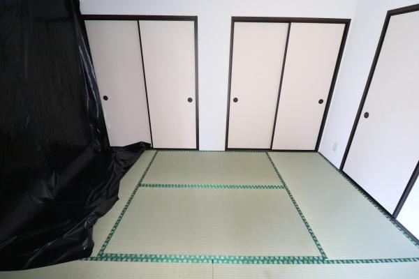 ステラハイム