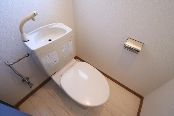 アパオオバ