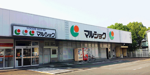 福岡市博多区諸岡3丁目のマンション(マルショク諸岡店)