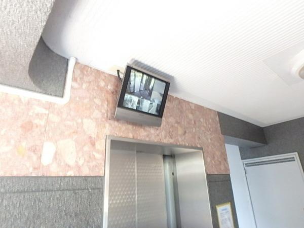 マンハイム板付