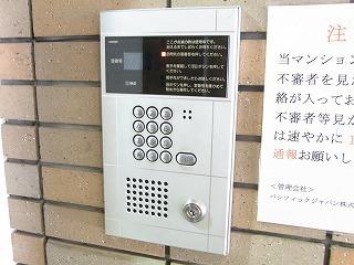 ピュアエスク比恵