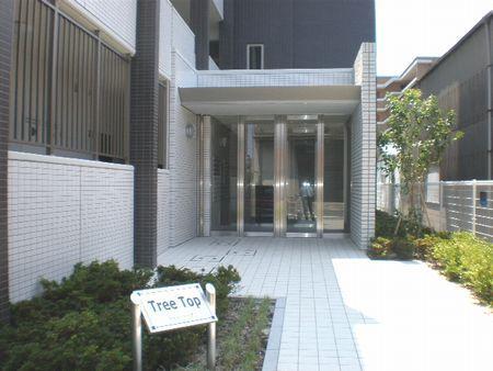 トゥリートップ