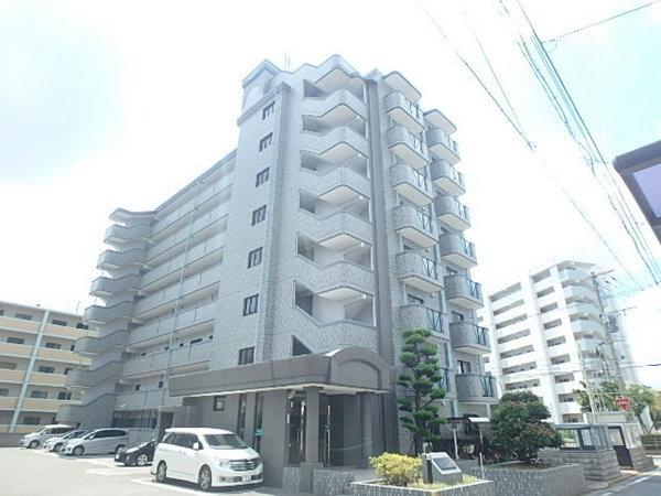 マンハイム板付