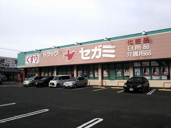 ヌーベル諸岡(ドラッグセガミ諸岡店)