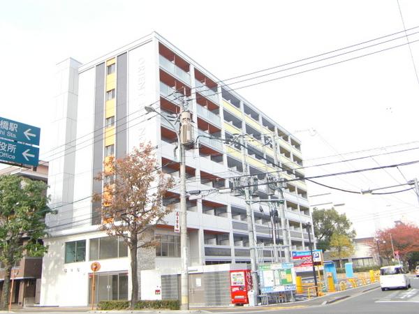 No.81AMARIGE