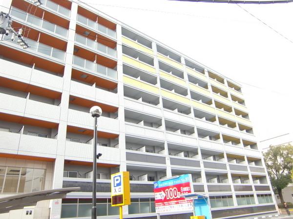 No.81AMARIGE