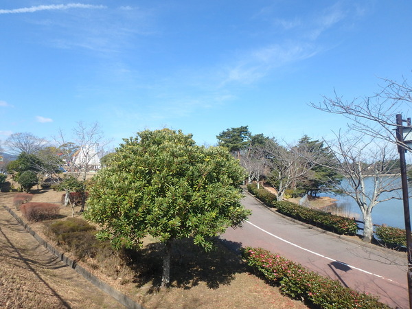 セジュール・モンシェリー春日(白水大池公園)