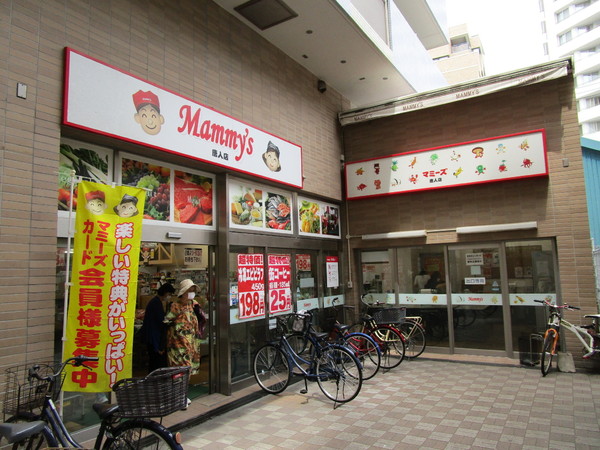 カーサビアンカ西公園(マミーズ唐人店)
