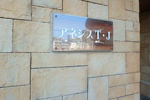 アネシスTJ