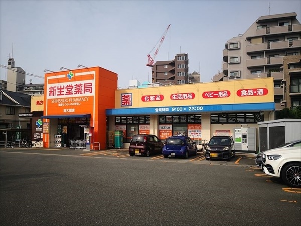 ラシュール・イン大橋南(ドラッグ新生堂南大橋店)