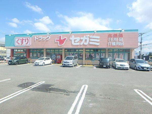 GOODWOODS(ドラッグセガミ諸岡店)