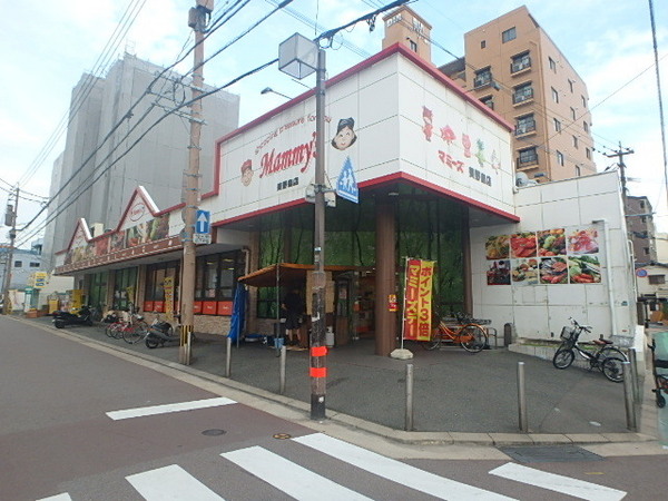 エンクレスト博多駅南(マミーズ美野島店)