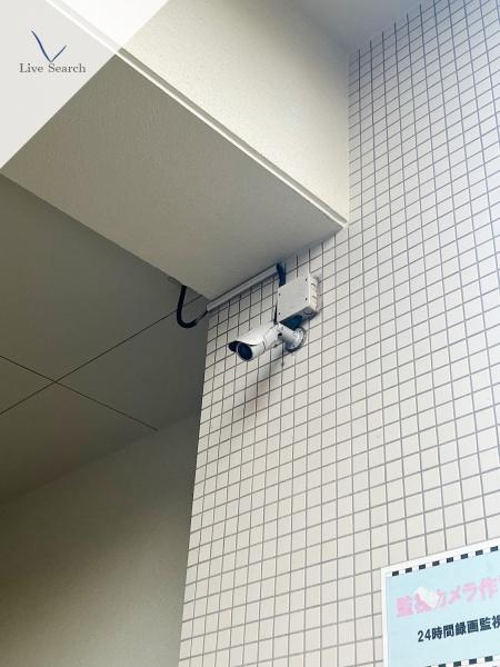 サヴォイバンヤンツリー