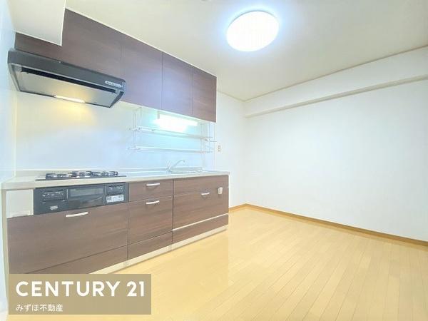 シャンボール大名A