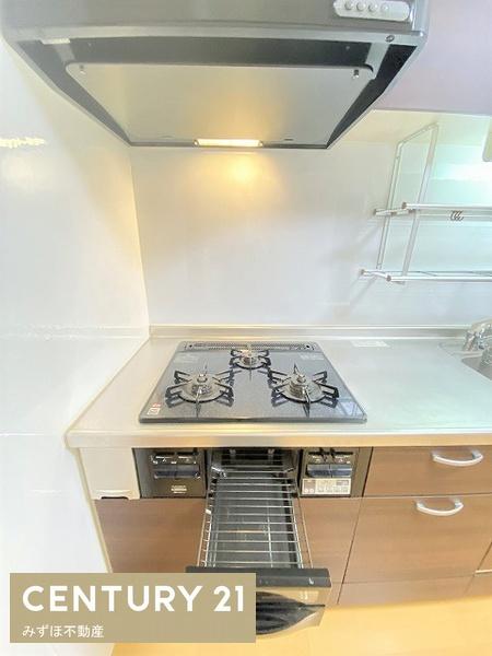 シャンボール大名A