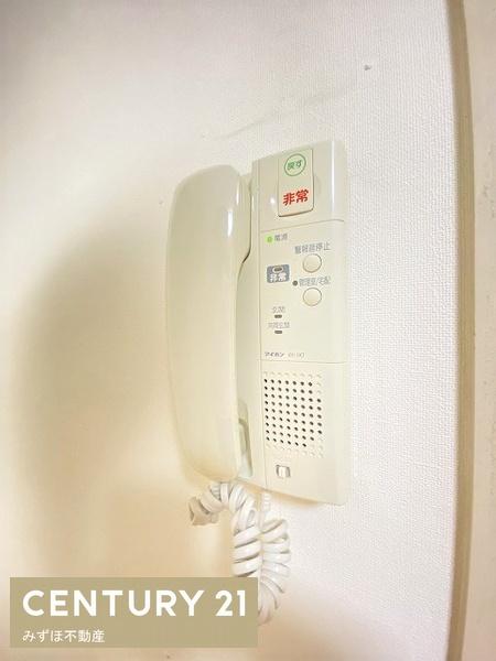 シャンボール大名A