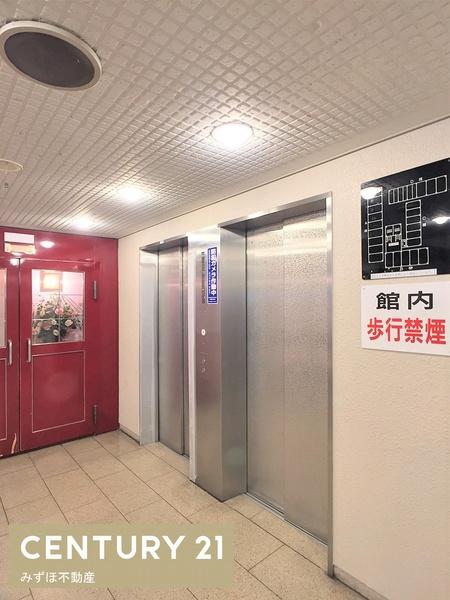 シャンボール大名A