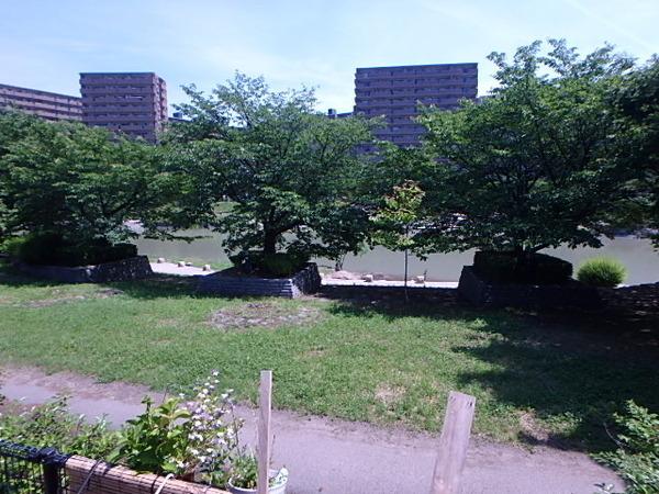 クローバーハイツ清水(第37号那珂川河川緑地)