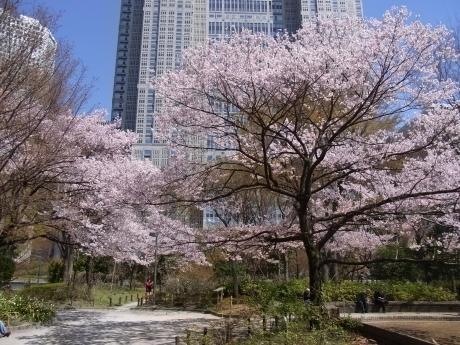 フェニックス西参道タワー(新宿中央公園)